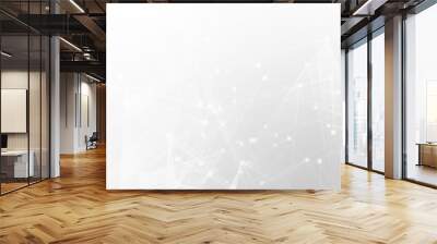 Abstract white gray polygon tech network with connect technology background. Abstract dots and lines texture background. 3d rendering. Wall mural