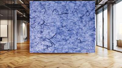 Blue color korean paper texture art sheet  Wall mural