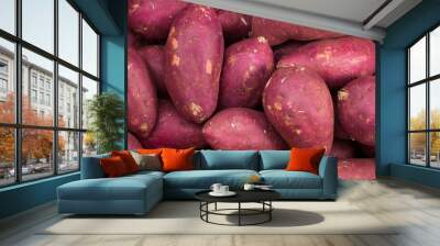 Fresh organic red sweet potatoes Wall mural