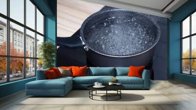 Boiling Water In Saucepan For Cooking Soup. Bowl Hot Water On Electric Stove. Wall mural