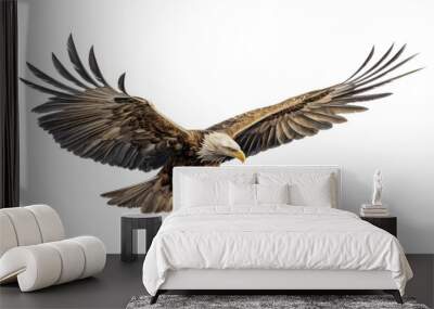 american bald eagle isolated on transparent background cutout Wall mural