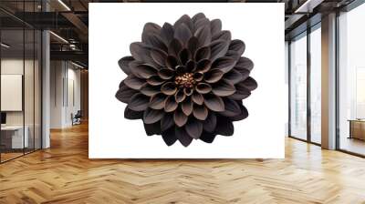 black flower isolated on transparent background cutout Wall mural