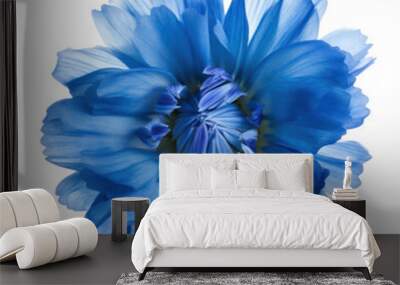 blue flower isolated on transparent background cutout Wall mural