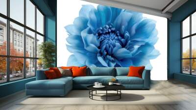 blue flower isolated on transparent background cutout Wall mural