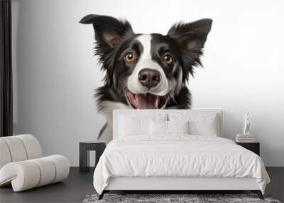 border collie puppy isolated on transparent background cutout Wall mural