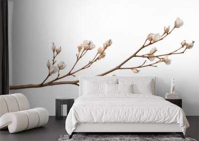 branch of a white bud isolated on transparent background cutout Wall mural