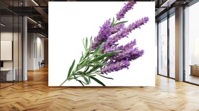 bunch of lavender isolated on transparent background cutout Wall mural