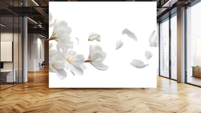 flying white flowers isolated on transparent background cutout Wall mural