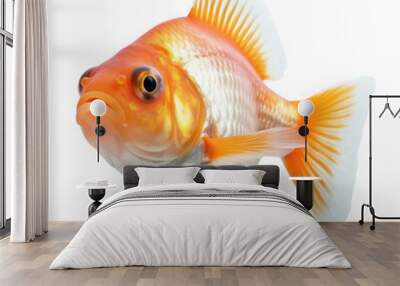 goldfish isolated on transparent background cutout Wall mural