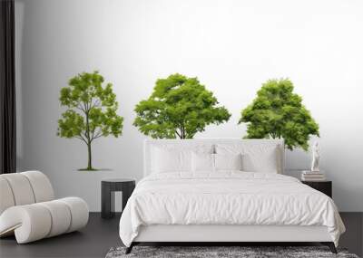 green tree isolated on transparent background cutout Wall mural