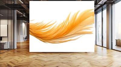 orange feather isolated on transparent background cutout Wall mural