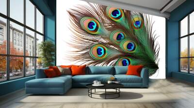 peacock feather isolated on transparent background cutout Wall mural