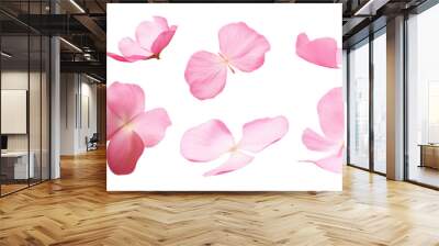 pink rose petals isolated on transparent background cutout Wall mural