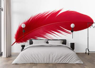 red feather isolated on transparent background cutout Wall mural