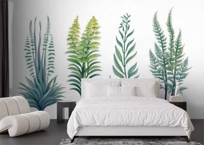 set of fern watercolor isolated on transparent background cutout Wall mural