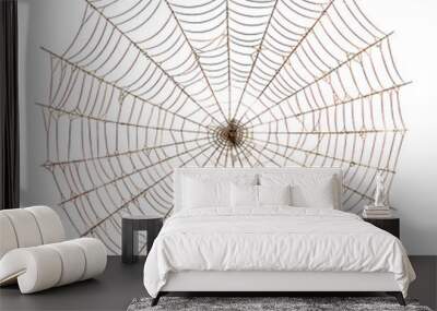 spider web isolated on transparent background cutout Wall mural