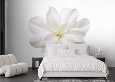 white flower isolated on transparent background cutout Wall mural