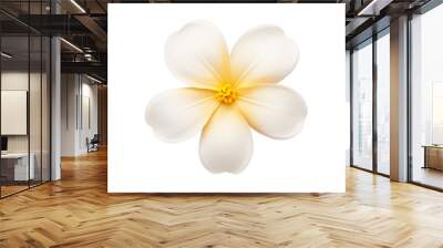 white flower isolated on transparent background cutout Wall mural