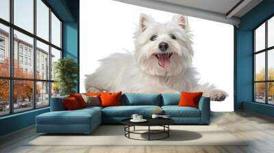 white terrier puppy sitting isolated on transparent background cutout Wall mural