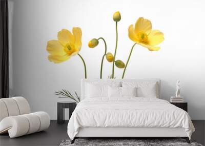 yellow flower stalk isolated on transparent background cutout Wall mural