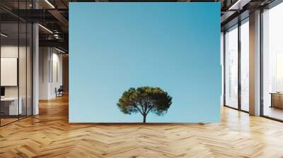 Lone tree on a hill against a clear blue sky in serene landscape Wall mural