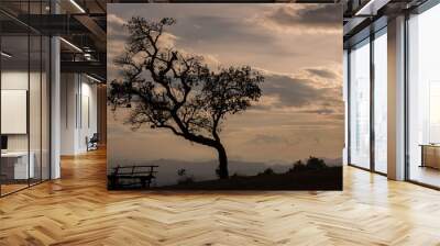 silhouette man standing  under the tree in sunset time. Wall mural