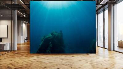 Underwater seascape with natural sunlight through water surface and rocks on the seabed.underwater background Wall mural