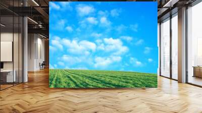 wheat field over beatiful blue sky 2 Wall mural