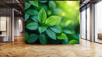 Nature of green leaf in garden at summer for presentation background. Natural green leaves plants using as spring background cover page greenery environment ecology lime green wallpaper Wall mural