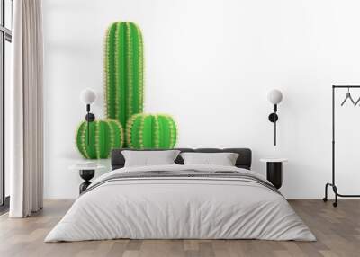 Abstract concept on the topic of the male penis. Three different green cacti with thorns as the concept of infertility and abstinence. 3d illustration Wall mural