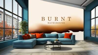 Paper with burnt hole background design. Burnt background vector design. Wall mural