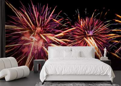 Abstract colored firework background . Celebration and anniversary concept Wall mural