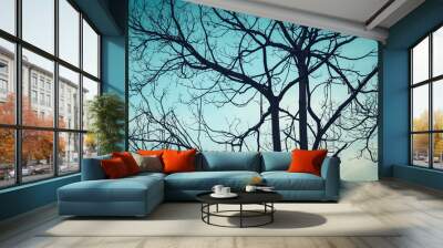 Tree and branches of the tree. Dry tree on a blue autumn sky background. Wall mural