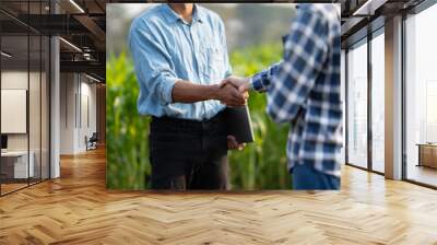 Handshake two farmer with crops field background. The concept of the agricultural business. farmer holding hands after had an agreement in the process. Wall mural