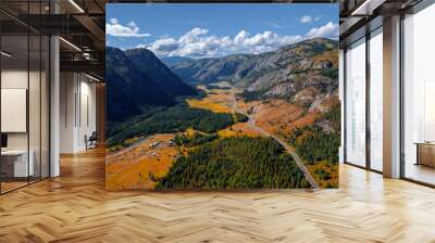 Aerial top view road in forest with car motion. Winding highway through green trees Altai. Concept ecosystem ecology healthy environment, travel trip Wall mural