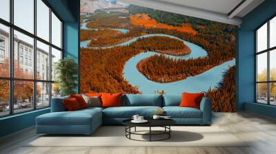 Beautiful aerial photo autumn landscape, , Altai Russia. Winding blue river meander in mountains with forest trees with sunlight, top view Wall mural