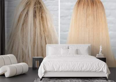 Before and after straightenin treatment. Sick, cut and healthy hair care keratin Wall mural