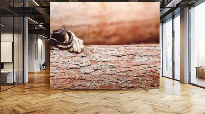 Close-up of dust protection means for working with chainsaw on sawmill. Wall mural