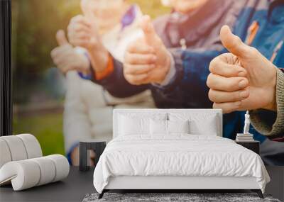 Elderly happy people show thumb up good, closeup of hands, banner Wall mural