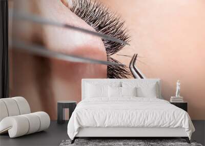 Eyelash extension procedure. Master tweezers sets fake lashes on beautiful woman Wall mural