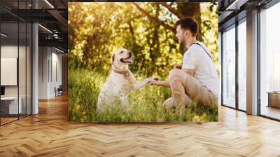 Owner young man with labrador dog outdoors green grass. Concept friendship Wall mural