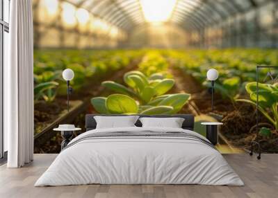 Ecofriendly greenhouse full of vibrant young plants, perfect alignment under the sunlit glass roof, symbolizing green agriculture Wall mural