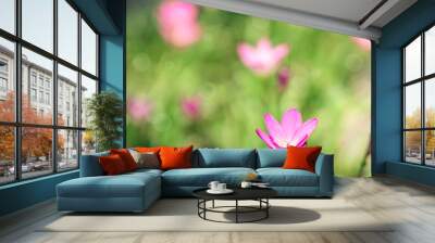 Abstract pink flower natural background. Wall mural