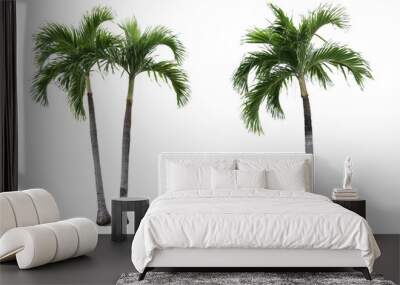 Adonidia palm trees Wall mural