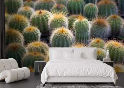 cactus garden on the farm hobby and leisure activities for another form of happiness Wall mural