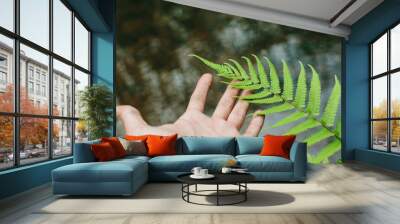 green fern leaf on hand Wall mural