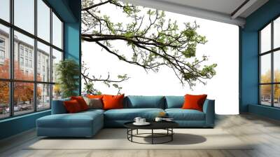 Tropical tree leaves and branch foreground  Wall mural