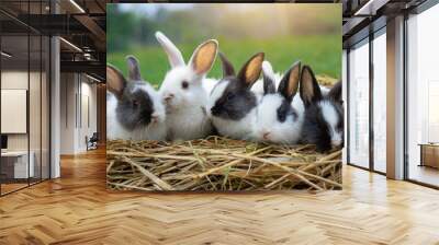 five small adorable rabbits baby fluffy rabbits sitting on dry straw green nature background bunny pet animal farm concept Wall mural