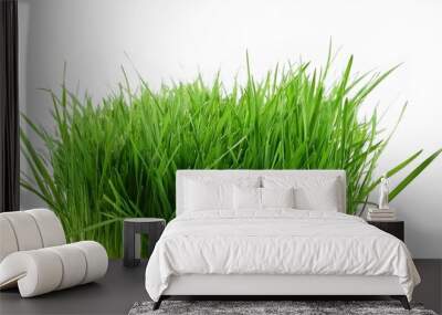 green grass isolated on white background Wall mural