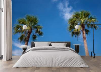 two palm trees against a blue sky on a sunny day Wall mural